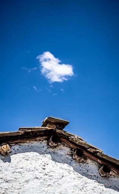 pexels-photo-9983256